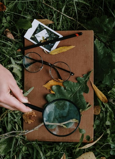 A person using a magnifying glass to further examine a leaf while outside