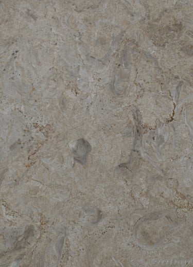 Ostracon Natural Shellstone