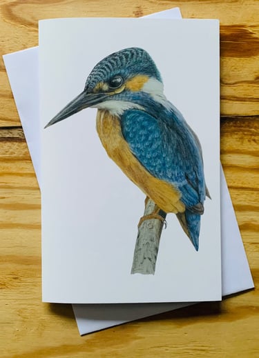 Kingfisher