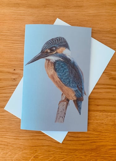 Kingfisher