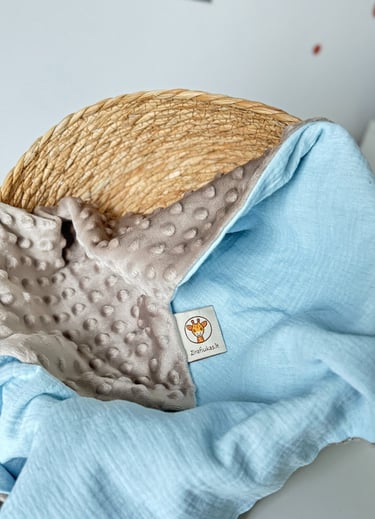 rudas su mėlynu pledukas