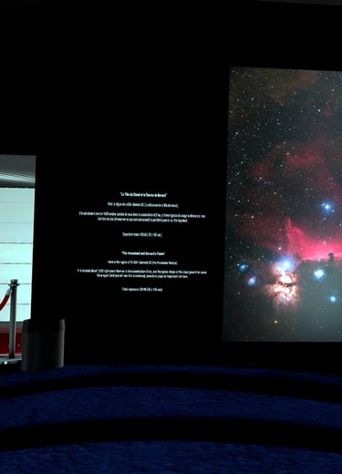 Regarder la vidéo de présentation de l'exposition