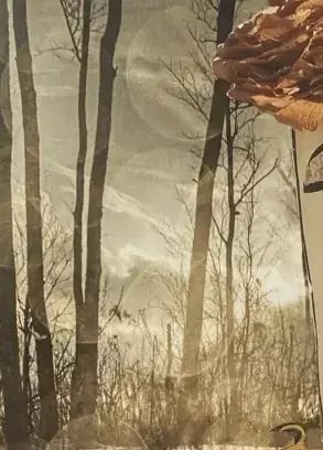 Ludmilla Collet, Gestalt praticienne à Villeurbanne