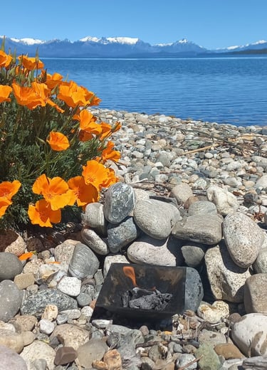 fuego homa frente a lago nahuel huapi bariloche argentina