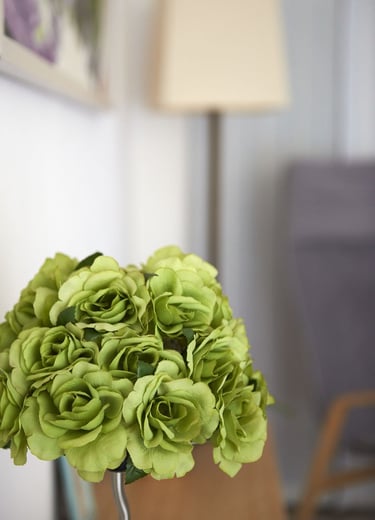 Immagine raffigurante fiori con lo studio sfumato sullo sfondo