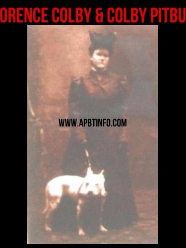 florence colby. colby pit bull family and legacy