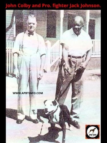 JOHN P COLBY DOGFIGHTING HISTORY APBT