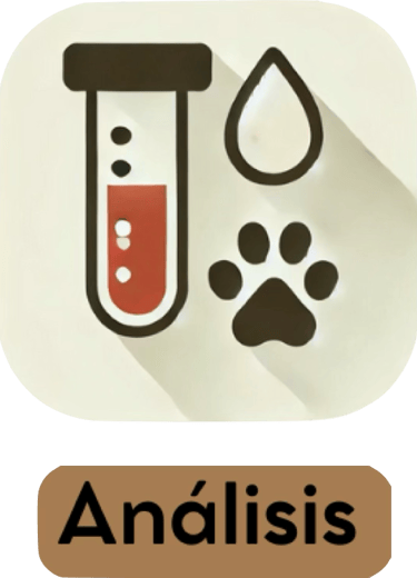 Análisis clínicos veterinarios a domicilio en la provincia de Alicante.
