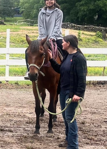 Health Vibes - Therapeutic horse riding, a student led by a teacher