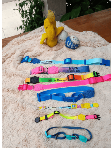 todos os tipos de coleiras para cachorro