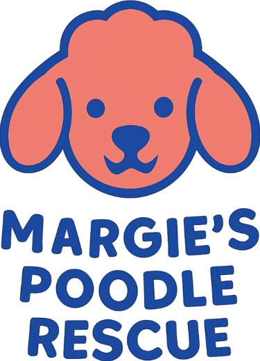 Margie's mini poodle and toy poodle rescue