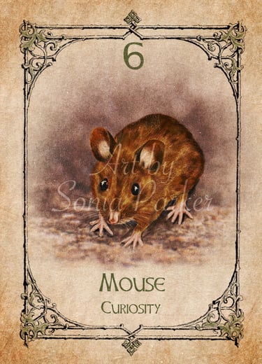 Mouse, a card from the animal spirit oracle deck