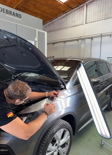 REPARACIÓN VARILLERO GRANADA