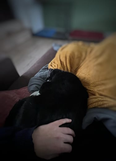 Cuddling a cat under a blanket — a moment from the crash and the path to personal healing