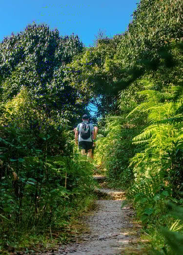 trekking to ramitey Dara