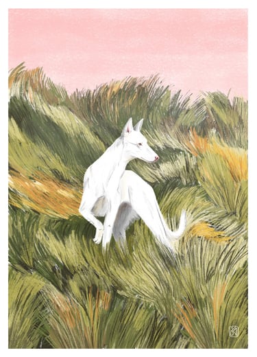 illustration of a greyhound dog in a tall grass field and pink sky