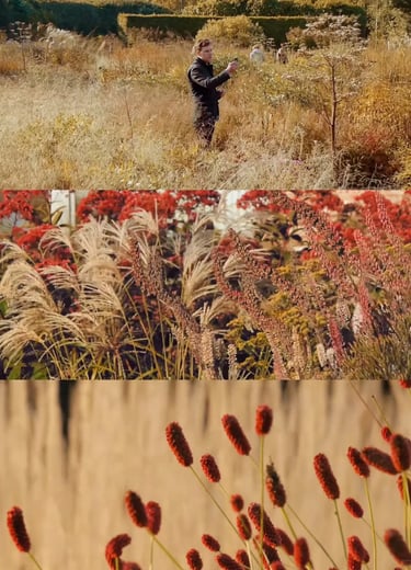Dutch landscape designer Piet Oudolf known for naturalistic planting and modern garden design philosophy.