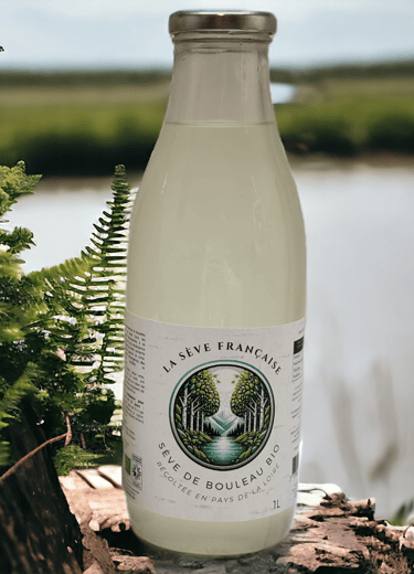 Visuel de notre produit : sève de bouleau nature