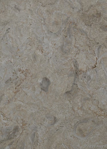Ostracon Natural Shellstone