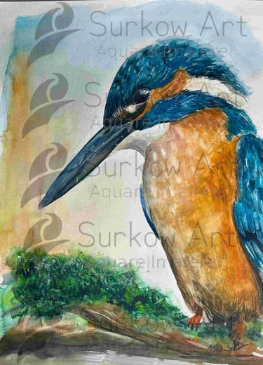 aquarell-eisvogel-surkow-art-paul-surkow