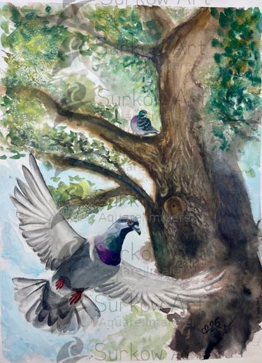 aquarell-auftragsarbeit Taube-surkow-art-paul-surkow