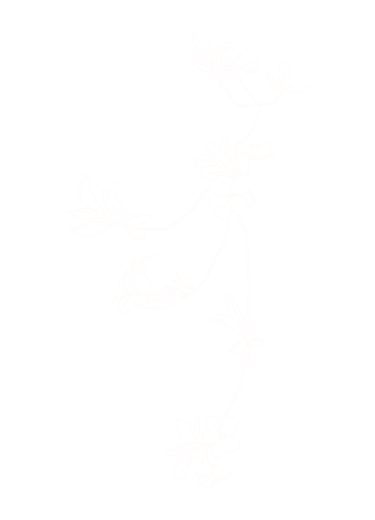 MTC