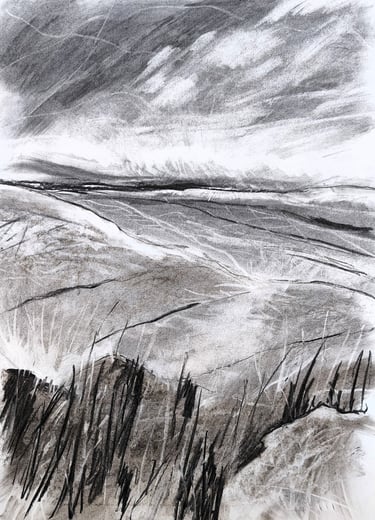 Paysage imaginaire 200525 - Fusain sur papier - 65X50 - 2025