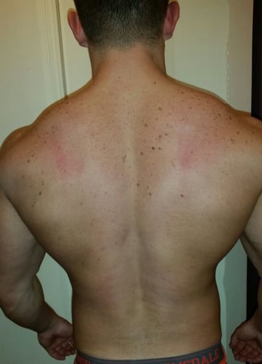 online nutrition