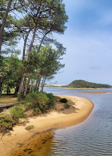Photo du lac Marin dans les Landes