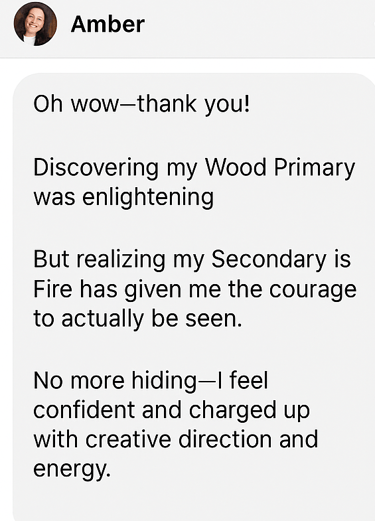 DM screenshot of Wood + Fire Archetype – Visionary entrepreneur celebrates discovering her strategic dual archetype