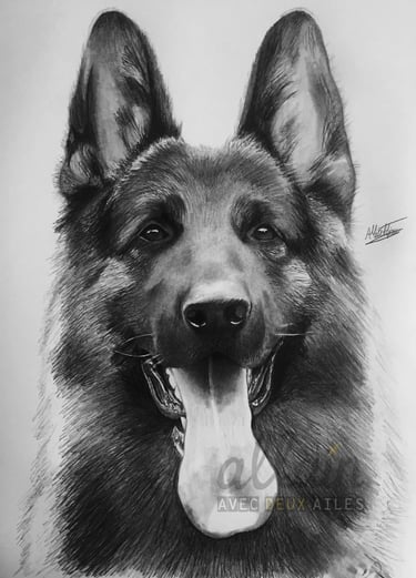 Dessin réaliste d'un berger allemand