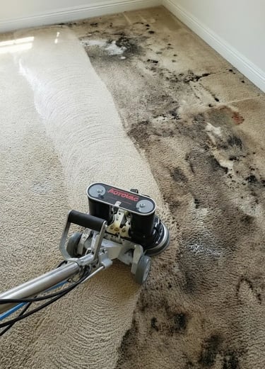 Rotovac Powerwand carpet cleaning in Lacey