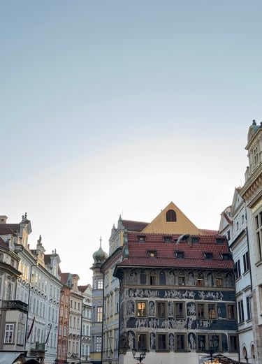 international tour package