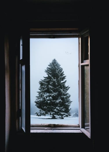 Pro langą matoma vieniša kalėdinė eglutė, kuri simbolizuoja per Kalėdas patiriamą vienišumą