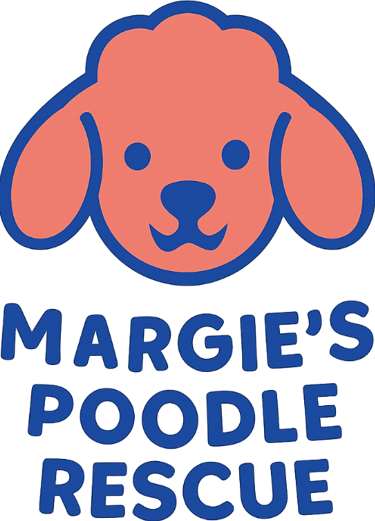 Margie's mini poodle and toy poodle rescue