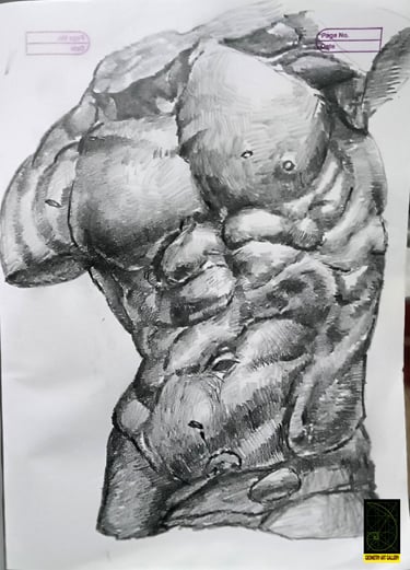anatomy sculpture art of human torso in pencil shading