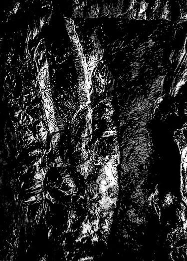 Black and white texture art image