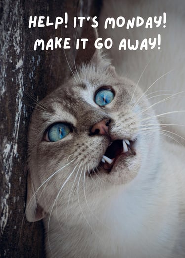A cross-eyed cat leaning against a tree, exhausted and complaining that it is Monday.
