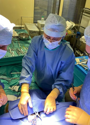 L'équipe de Chirurgie Vasculaire Marseille