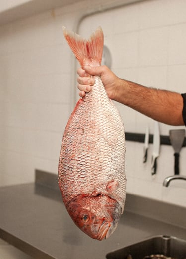 Pescado fresco para disfrutar entre amigos de un suculento plato de gastronomía de primer nivel    