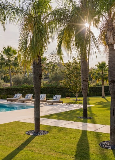 Palm trees and sunlit pool terrace at Villa El Olivo, Marbella
