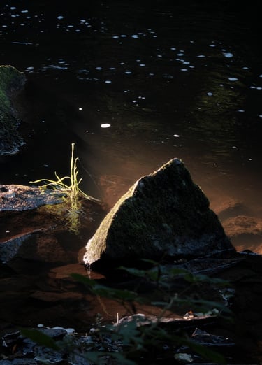 a small stream of water with rocks and grass