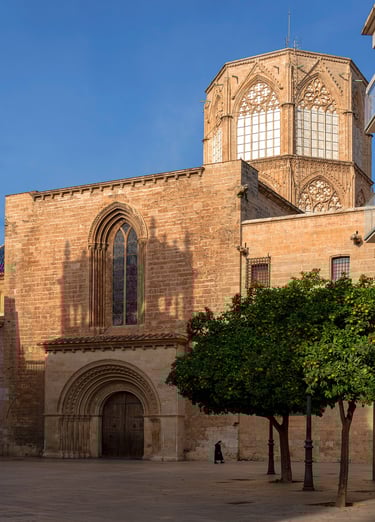 9º Clasificado Color 2026