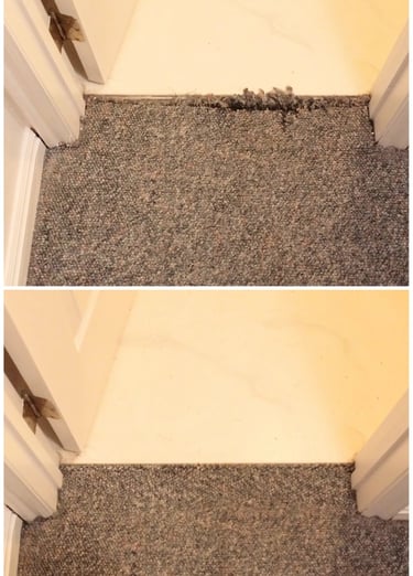 Berber carpet damaged by dog was fixed and looks great in Midway, UT.