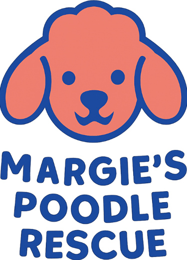 Margie's mini poodle and toy poodle rescue