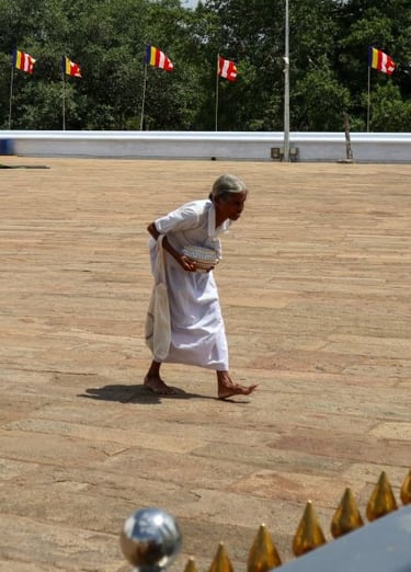 anaradhapura-signora