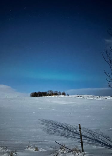 islanda-neve