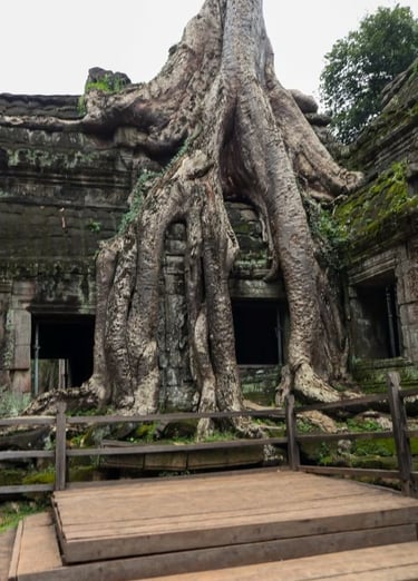 ta-prohm-cambogia
