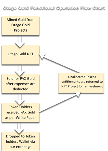 A flow chart image for buyers of Otago Gold NFT's