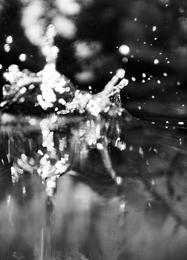 Black and white abstract macro photography of water splashing with sparkling bokeh droplets.